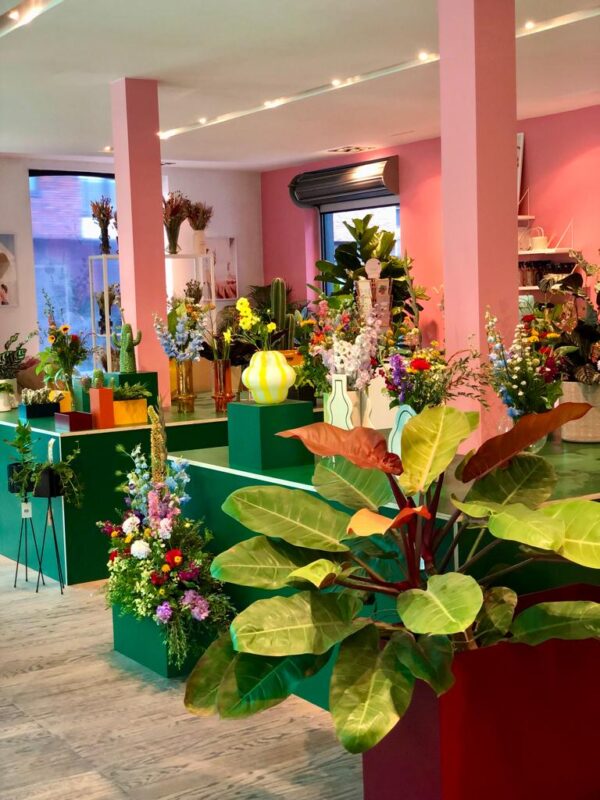 3b19fc87-3c1d-4a38-b707-5b7e5369b38d