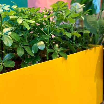 00f1c182-d98b-4026-a7fc-f37ba709fef7