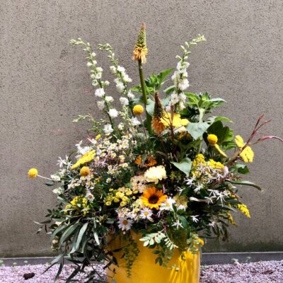 7ef6319d-f9db-498f-8b7b-369df6f7bf45