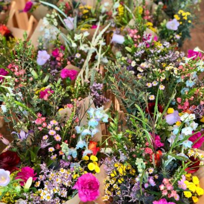 abb9d96c-77a0-4f62-b6f4-b6ee641253f4