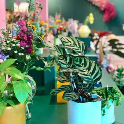 c9c36f5d-e0c7-4e52-9f22-821f1300fd55