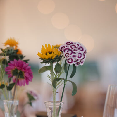 Subjekt-20240814-299