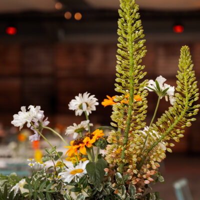 Trouw Hanne & Martijn